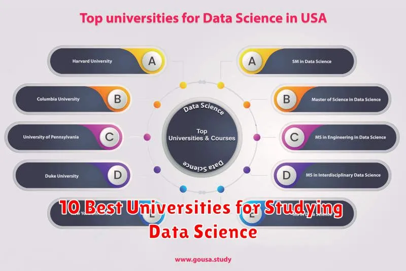 10 Best Universities for Studying Data Science
