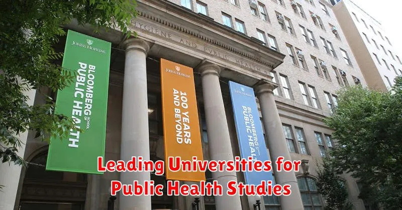 Leading Universities for Public Health Studies