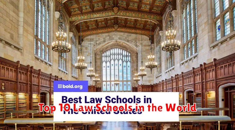 Top 10 Law Schools in the World