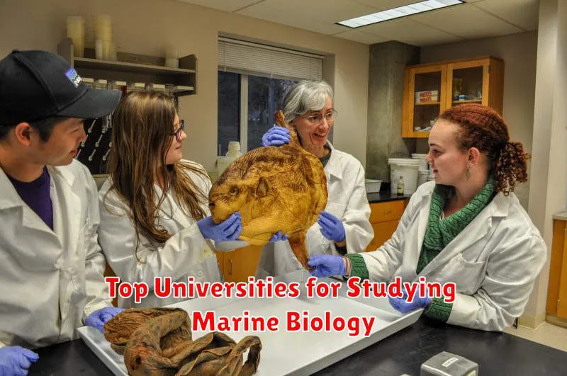 Top Universities for Studying Marine Biology